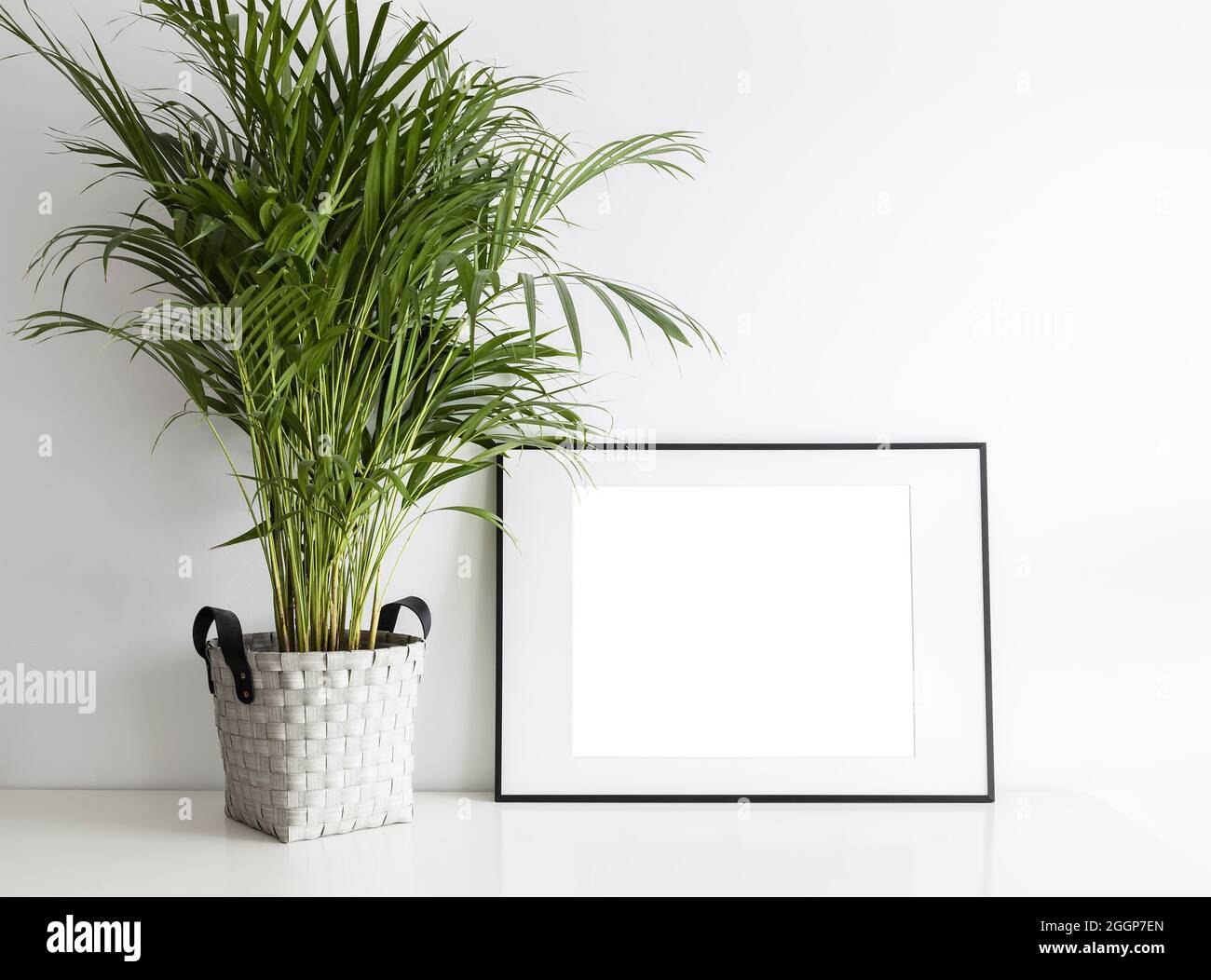 Rectangular mock up frame with green plant. Stock Photo