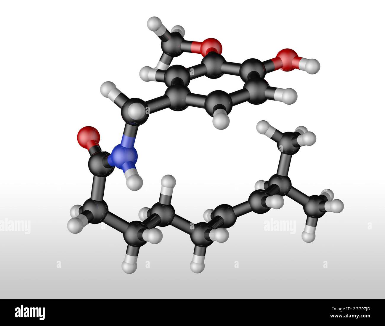 Capsaicin molecule hires stock photography and images Alamy