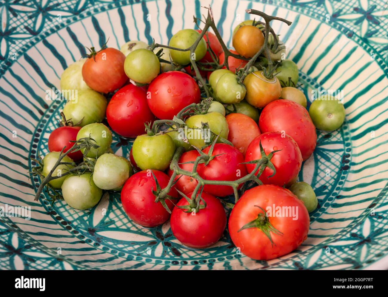 Fresh crop of green and red organic tomatoes on the vine, on a vintage rusitic plate. Stock Photo