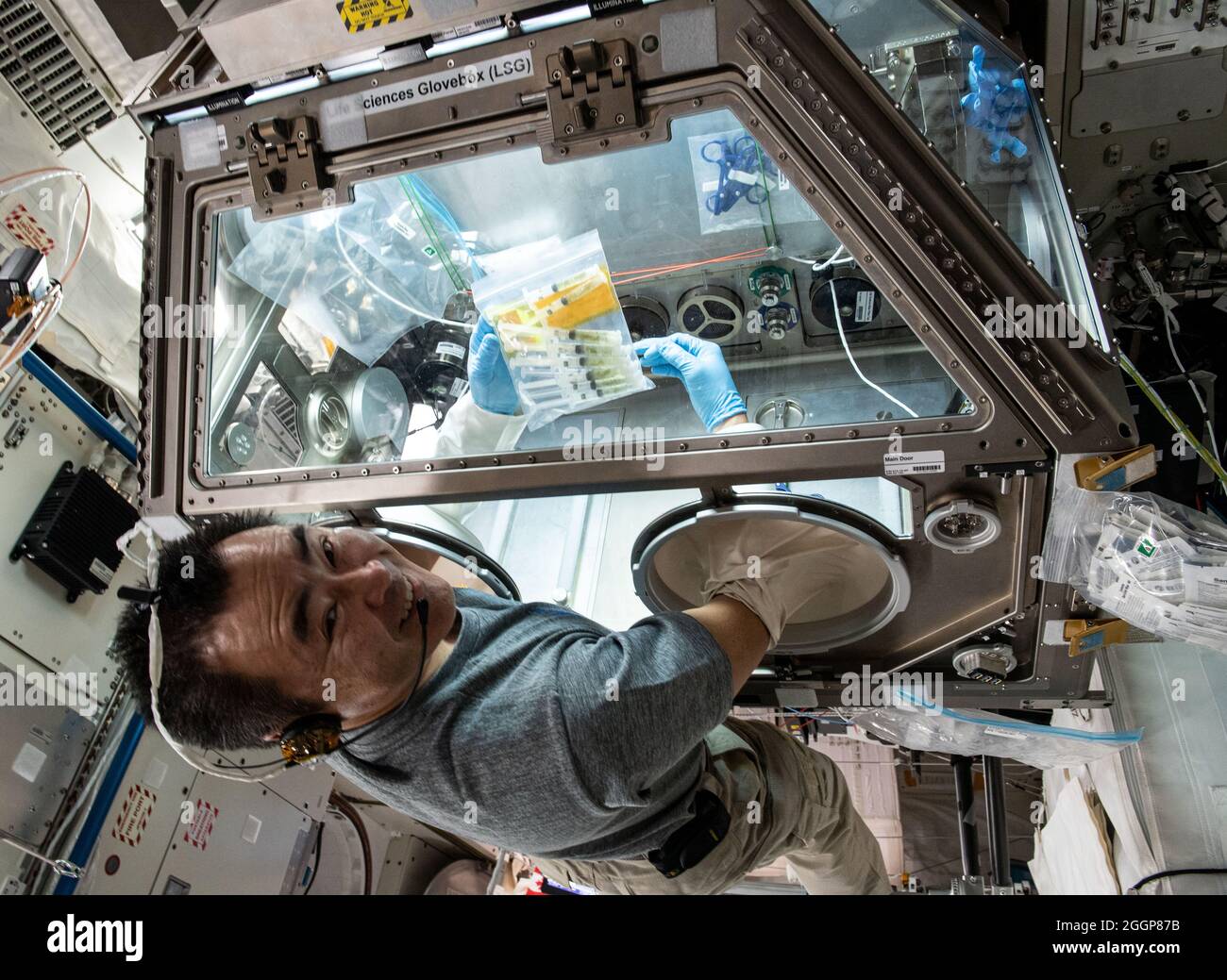 Expedition 65 Commander Akihiko Hoshide of the Japan Aerospace Exploration Agency (JAXA) studies tardigrades, also known as water bears, inside the Kibo laboratory module's Life Sciences Glovebox. Stock Photo