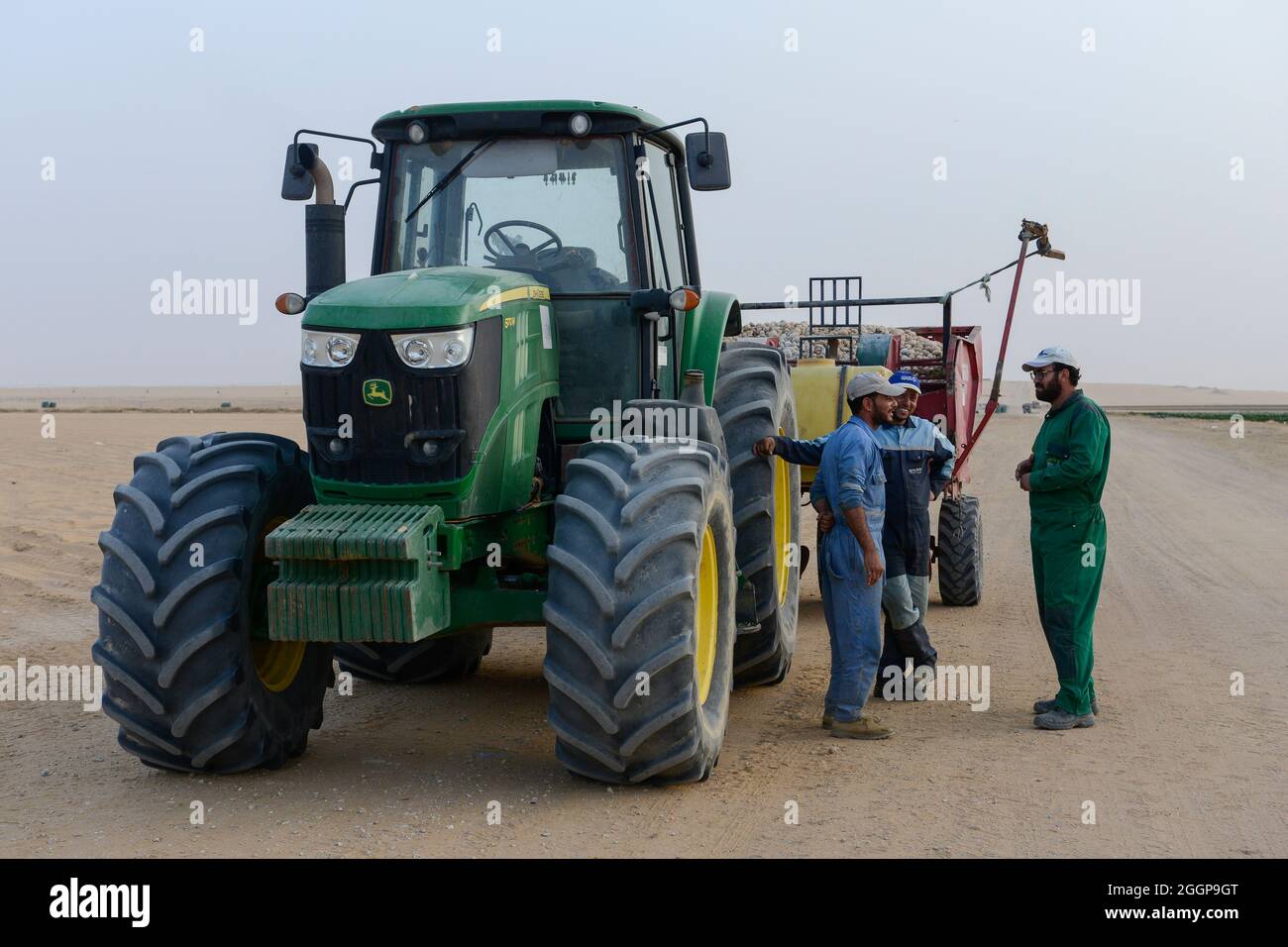 EGYPT, Farafra, potato farming in the desert, United Farms, John Deere tractor with Grimme harvesting machines/ AEGYPTEN, Farafra, United Farms, Kartoffelanbau in der Wueste Stock Photo