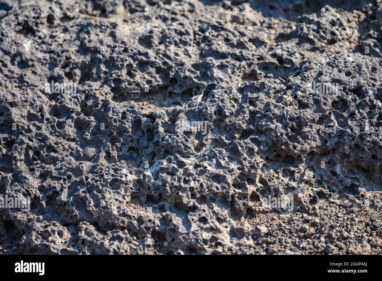 Vescular texture of volcanic rocks. Oregon, USA. Stock Photo