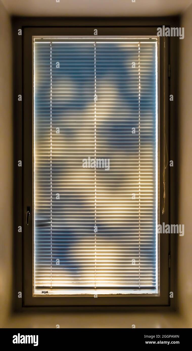 Window with closed Persian blinds, lit by sun shining through tree branches. Stock Photo