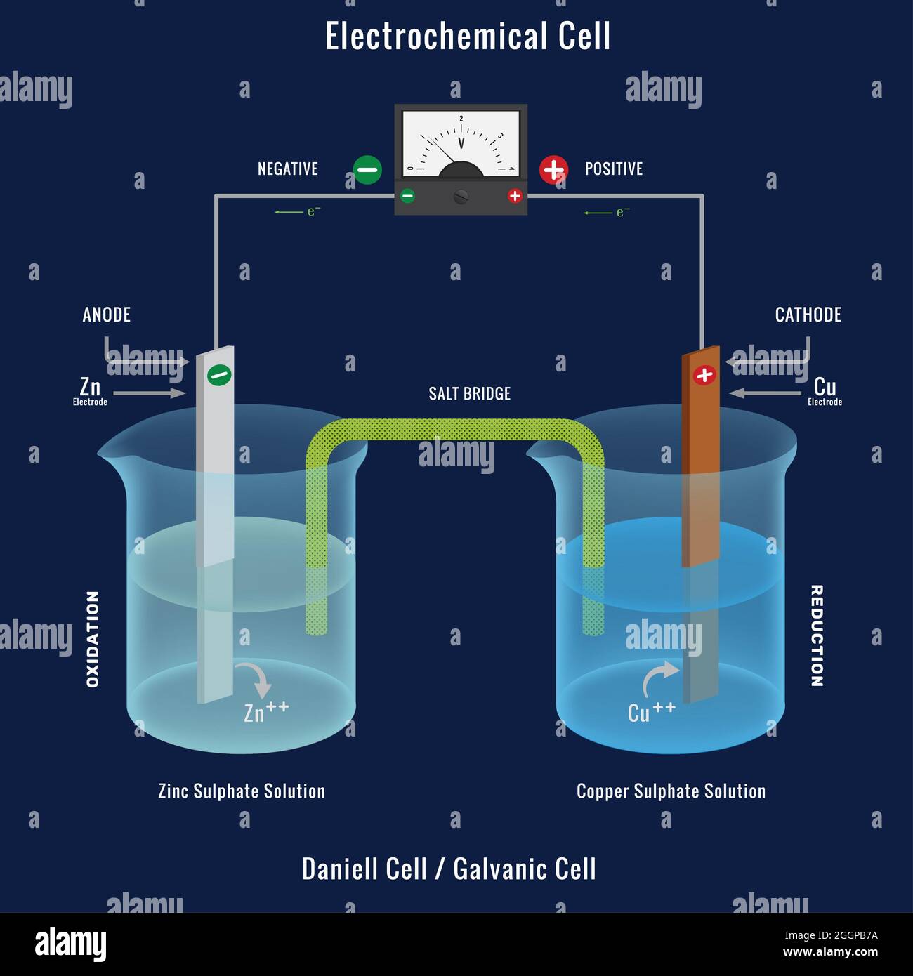 Electrochemical Galvanic Cell Difference At Robert Bible Blog Electrochemical Galvanic Cell Difference At Robert Bible Blog