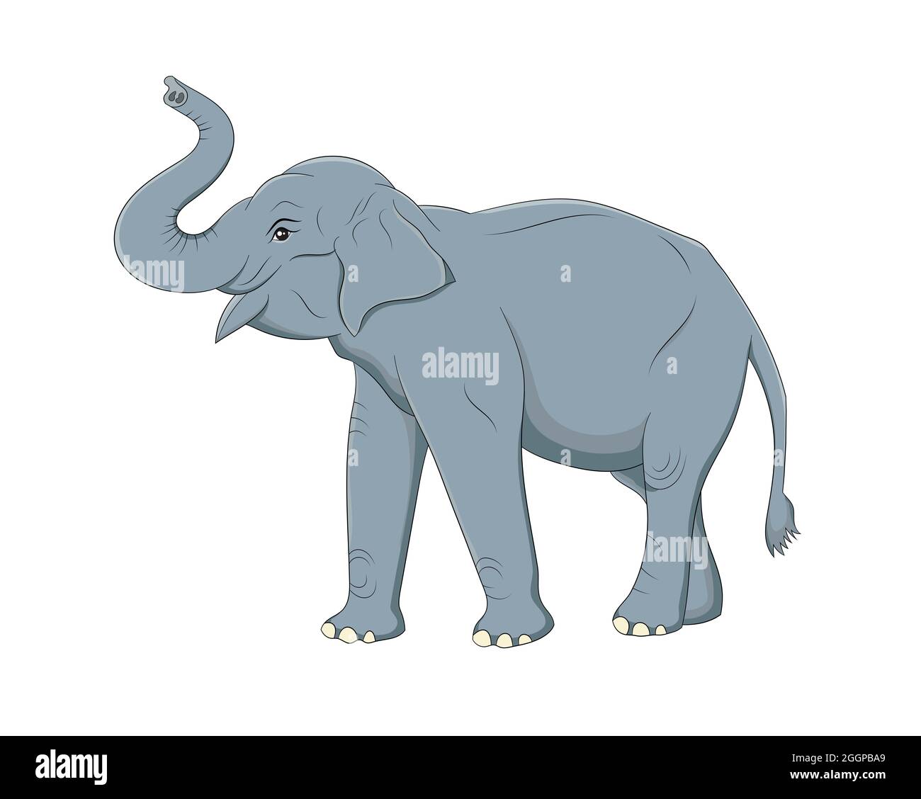 Asian elephant vector drawing Cut Out Stock Images & Pictures - Alamy