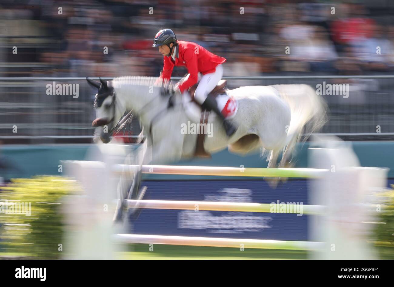 02 September 2021, North Rhine-Westphalia, Riesenbeck: Equestrian sport: European Championship, Show Jumping. The show jumper Martin Fuchs from Switzerland rides over an obstacle on Leone Jei. Photo: Friso Gentsch/dpa Stock Photo