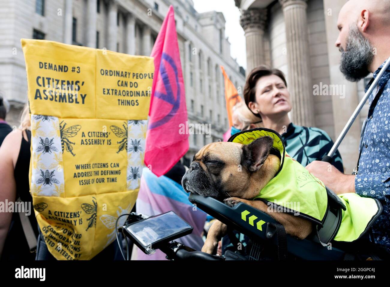 A dog sleeps as Extinction Rebellion's take space outside of the Bank of England during their Mass Bail Break protest on the eleventh day of their Impossible Rebellion protests in London, United Kingdom on September 2, 2021. Protestors that have been arrested during the Impossible Rebellion have been encouraged to share their stories throughout the day. Stock Photo