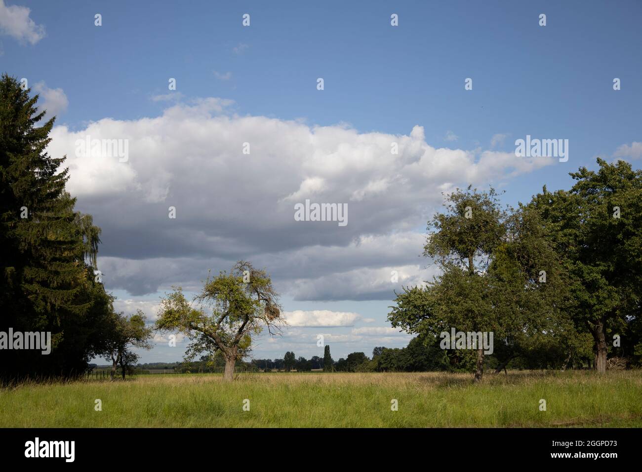 Clouds over an orchard meadow Stock Photo