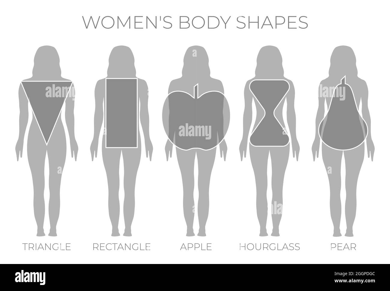 A set of female figure types, five types. Hourglass, X-silhouette. Pear, A-shaped  type. Rectangle, H-shaped silhouette. Apple, O-shaped type. Inverted Stock  Vector Image & Art - Alamy