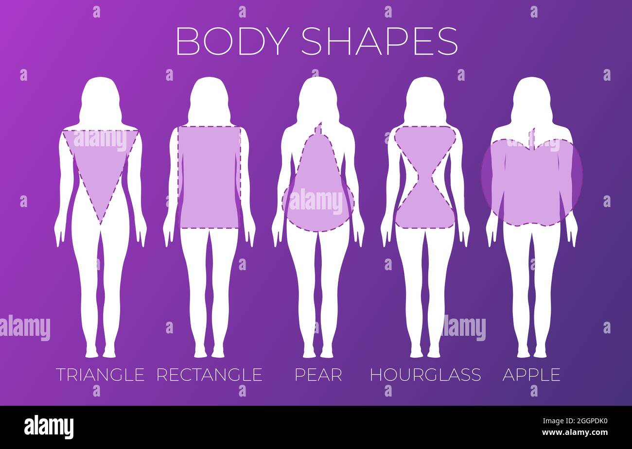 Pink Purple Woman Body Shapes Illustration Stock Vector Image & Art Alamy