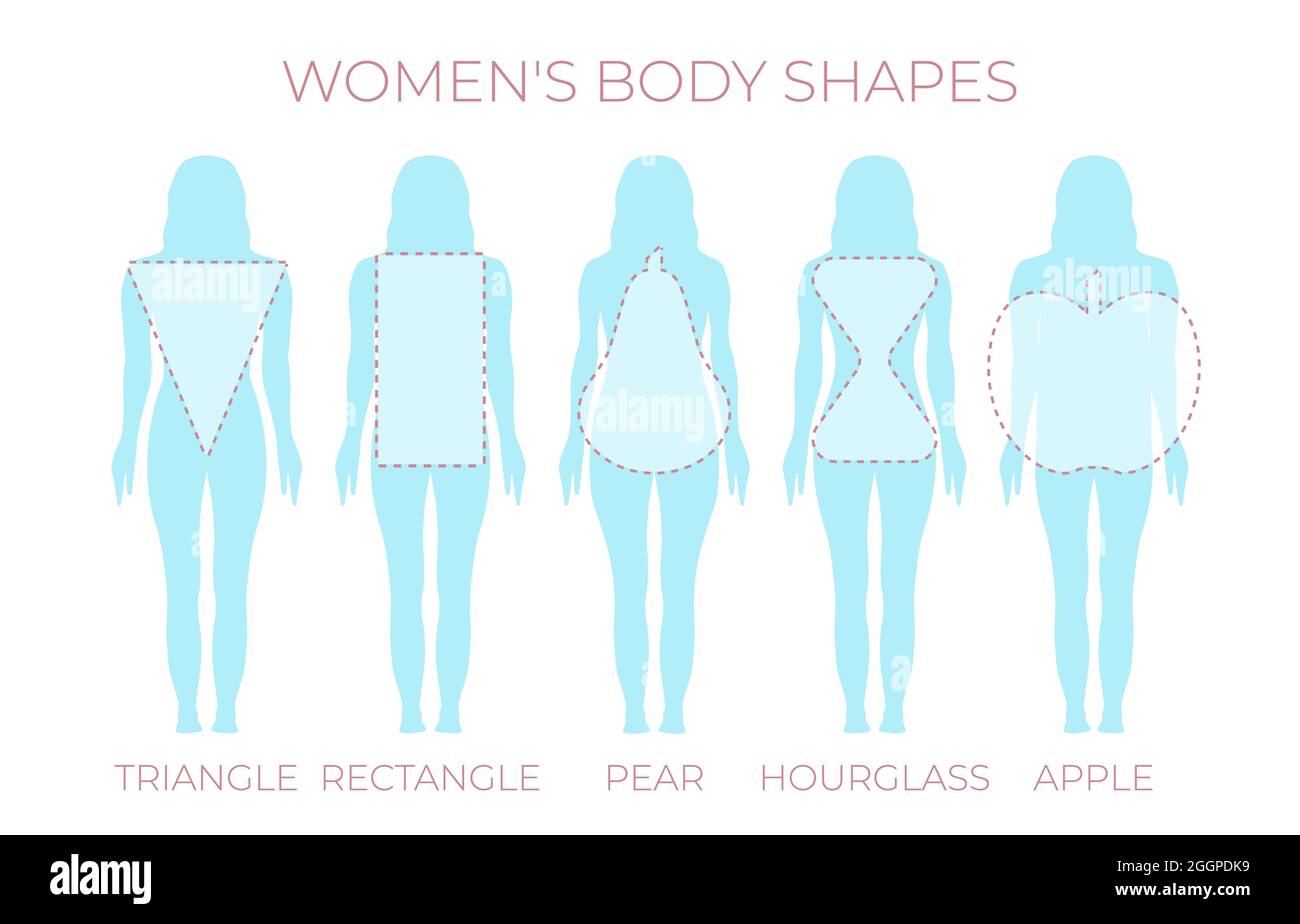 Body shapes apple pear hourglass