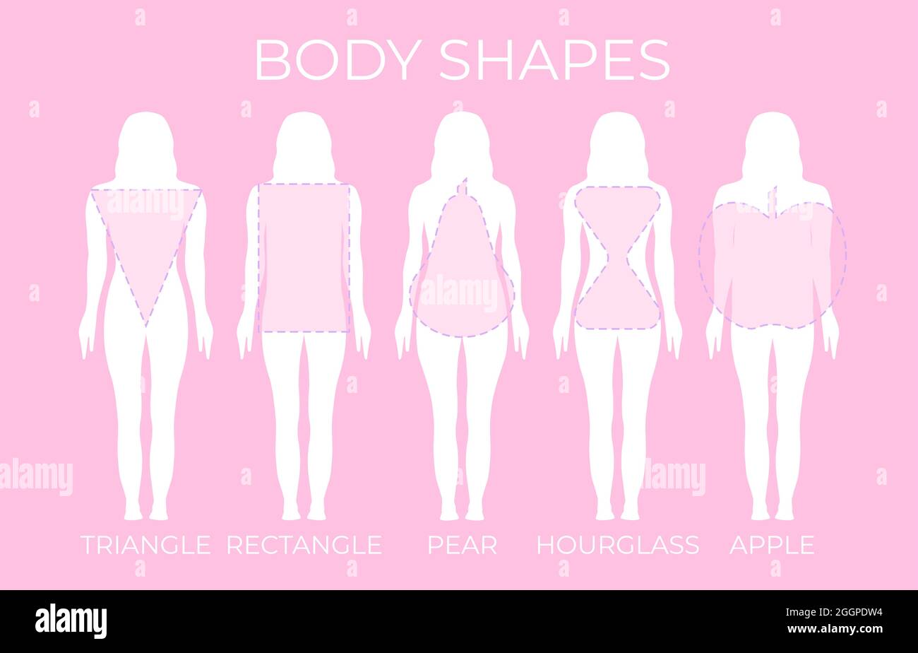 Female Body Types Stock Illustrations – 1,535 Female Body Types Stock  Illustrations, Vectors & Clipart - Dreamstime