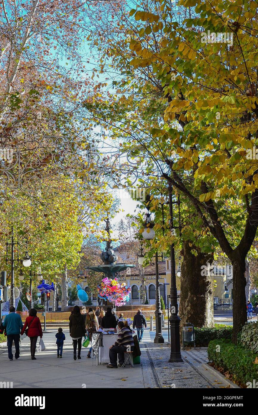 boulevard or street of Granada called Carrera de la Virgen with tall trees  with yellow leaves, Christmas lights, chestnut stall, people walking and th  Stock Photo - Alamy