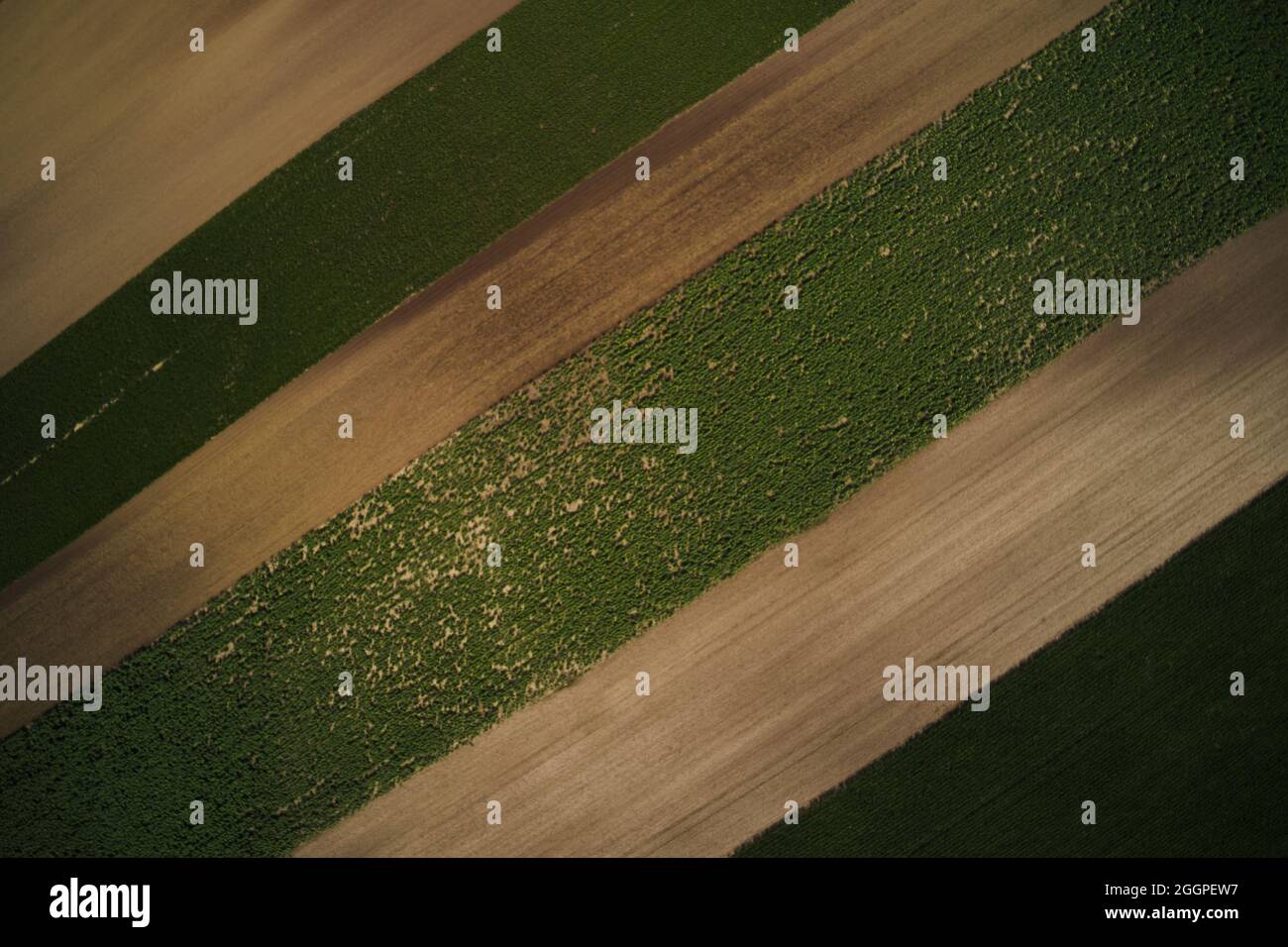 Aerial view of farmland north of Casa Grande. Stock Photo