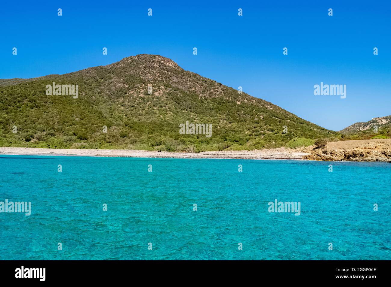 Bay chia hi-res stock photography and images - Page 3 - Alamy