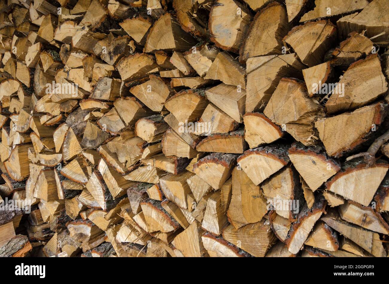 A Neatly Cut And Stacked Pile Of Firewood Seasoning Stock Photo