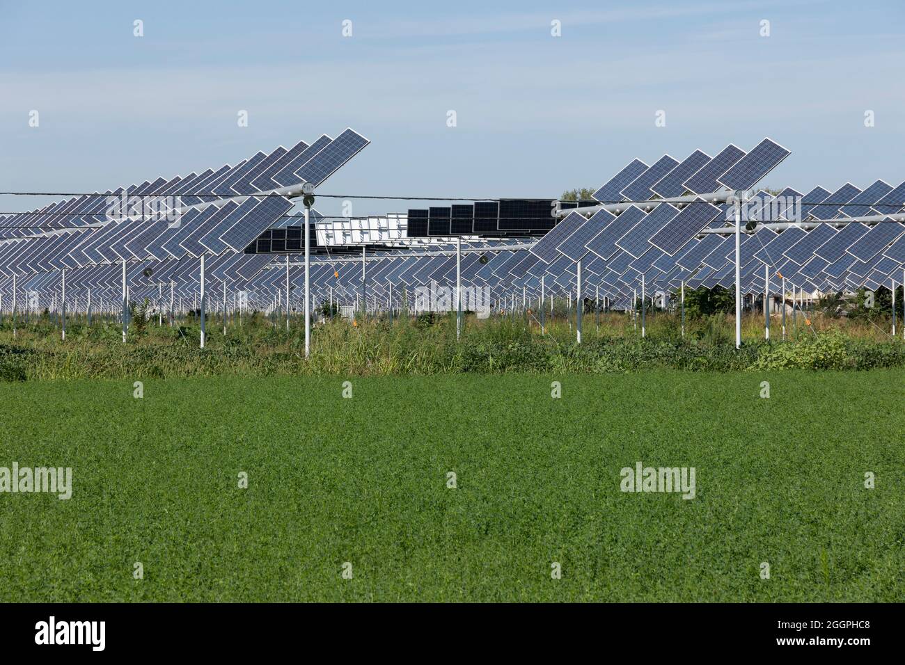 Agrivoltaics or agrophotovoltaics is co-developing the same area of land for both solar photovoltaic power as well as for agriculture. Stock Photo