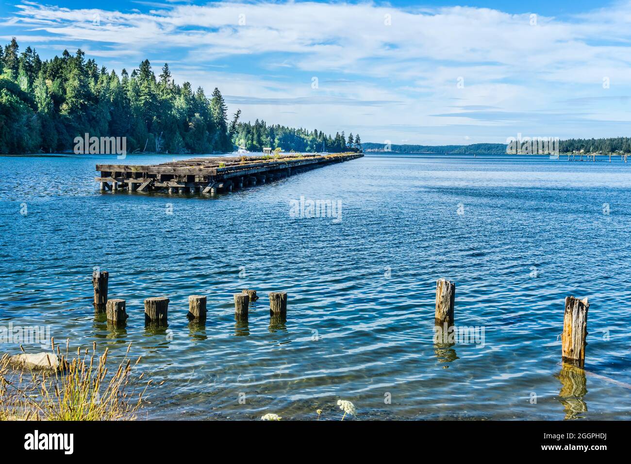 A view of a derelict pier in the Woodard Bay Conservation area in