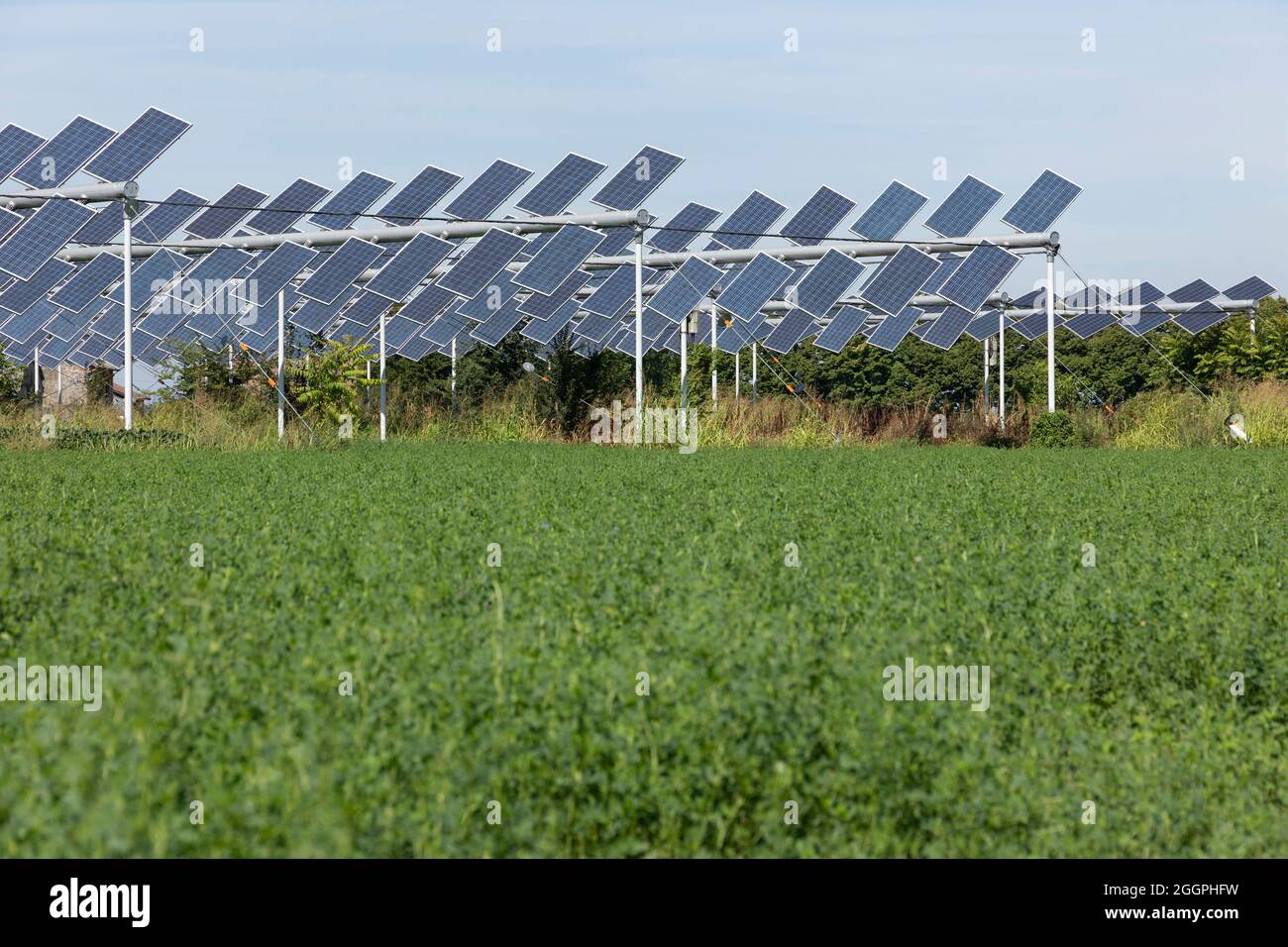 Agrivoltaics or agrophotovoltaics is co-developing the same area of land for both solar photovoltaic power as well as for agriculture. Stock Photo