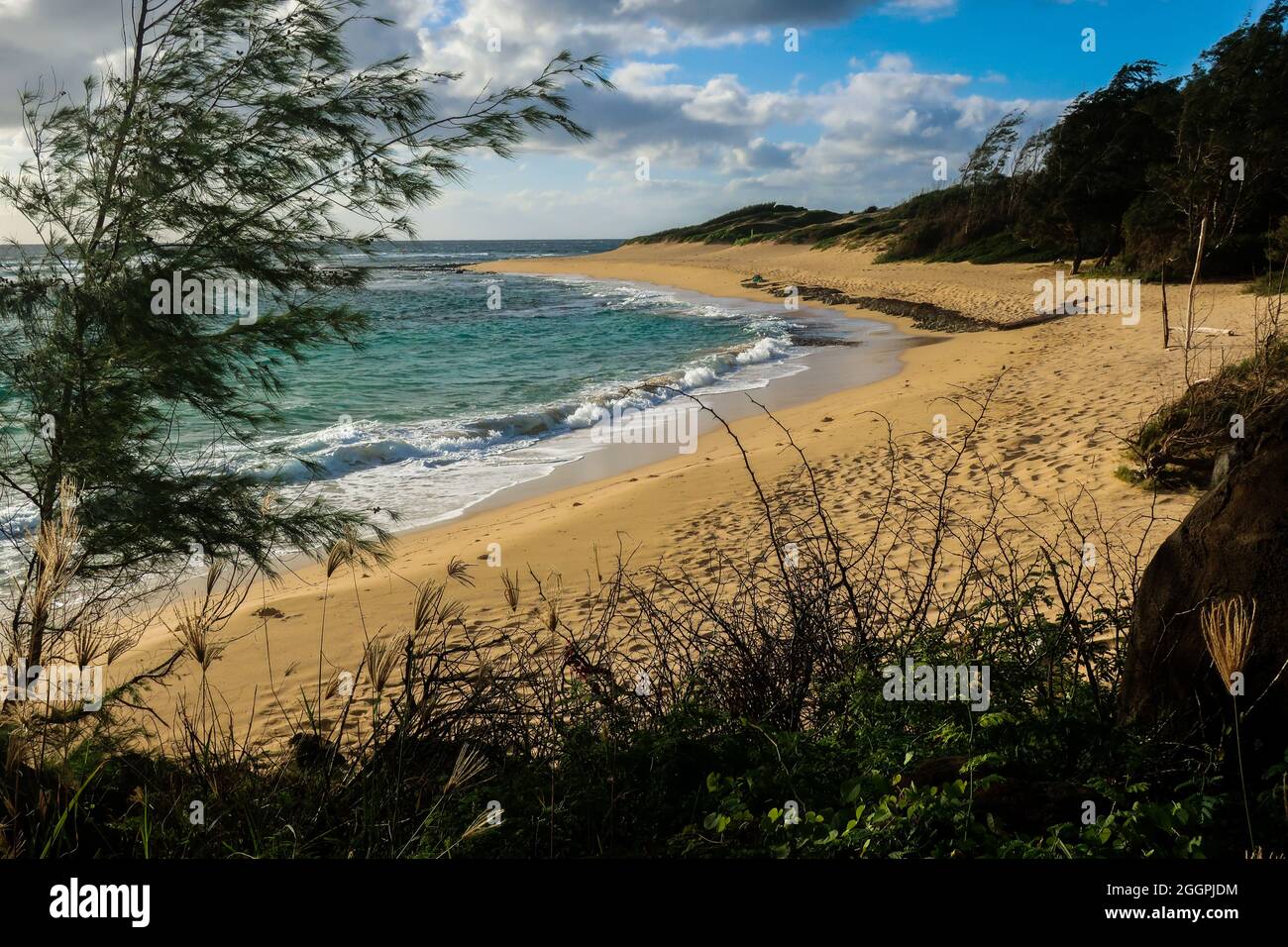Baseball manager and umpire arguing Stock Photo Alamy
