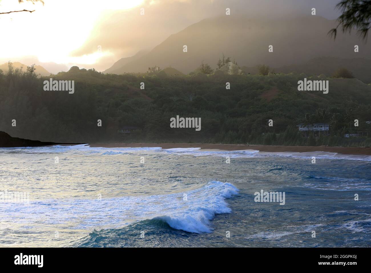 Baseball manager and umpire arguing Stock Photo Alamy