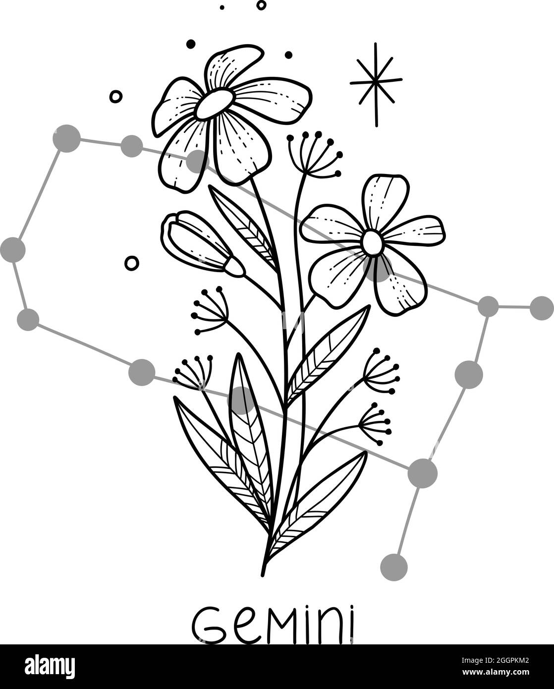 Gemini horoscope flower icon outline vector. Zodiac sign astrology Stock Vector Image & Art Alamy