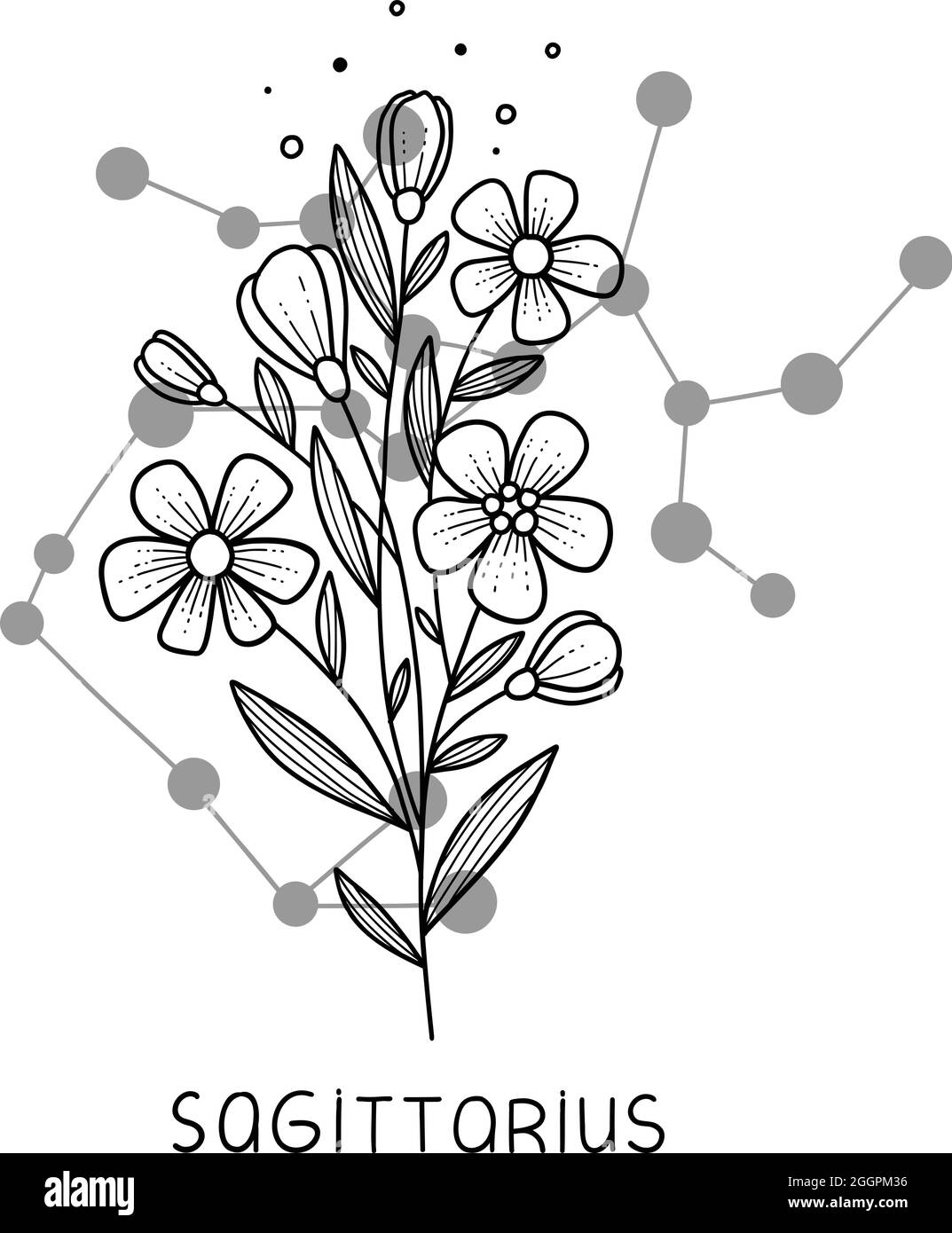 Sagittarius horoscope flower icon outline vector. Zodiac sign astrology  Stock Vector Image & Art - Alamy