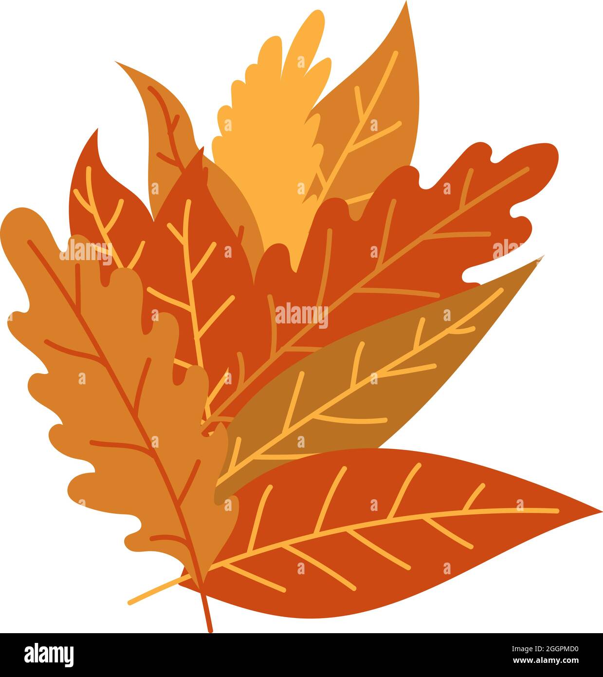 Orange autumn leaves vector illustration. Autumn Halloween frame with leaves, graphic icon or print isolated on white background Stock Vector