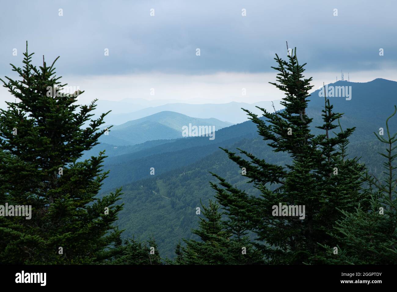 Color Panorama of Appalachian Mountains from a High Vista with Pine