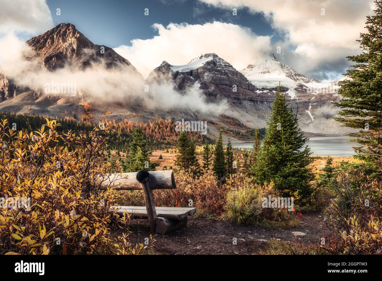 Scenery Of Mount Assiniboine On Lake Magog And Wooden Chair In Autumn