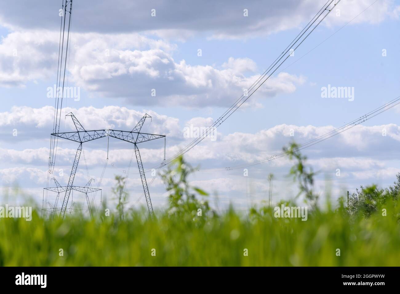 A view of power lines, electric power transmissions in a field and tall grasses in western Ukraine.Prime Minister of Ukraine, Denis Shmygal announced that from October 1st, the cost of electricity for 80% of the population will decrease following the Cabinet of Ministers passing a resolution which reduced the electricity tariff to UAH 1.44 per kilowatt/hour if households consume less than 250 kilowatt/hours per month. At the same time, if the household uses more than this norm, then all consumed electricity must be paid at full price - UAH 1.68 per kWh. (Photo by Mykola Tys/SOPA Images/Sipa Stock Photo