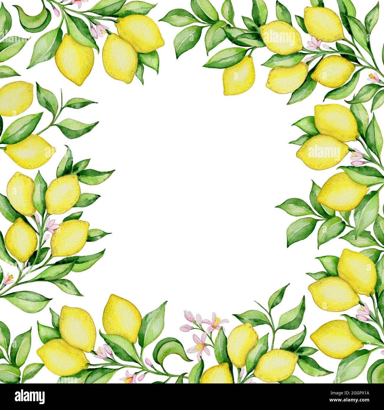 Hand drawn watercolor floral frame with lemons and green leaves on a ...