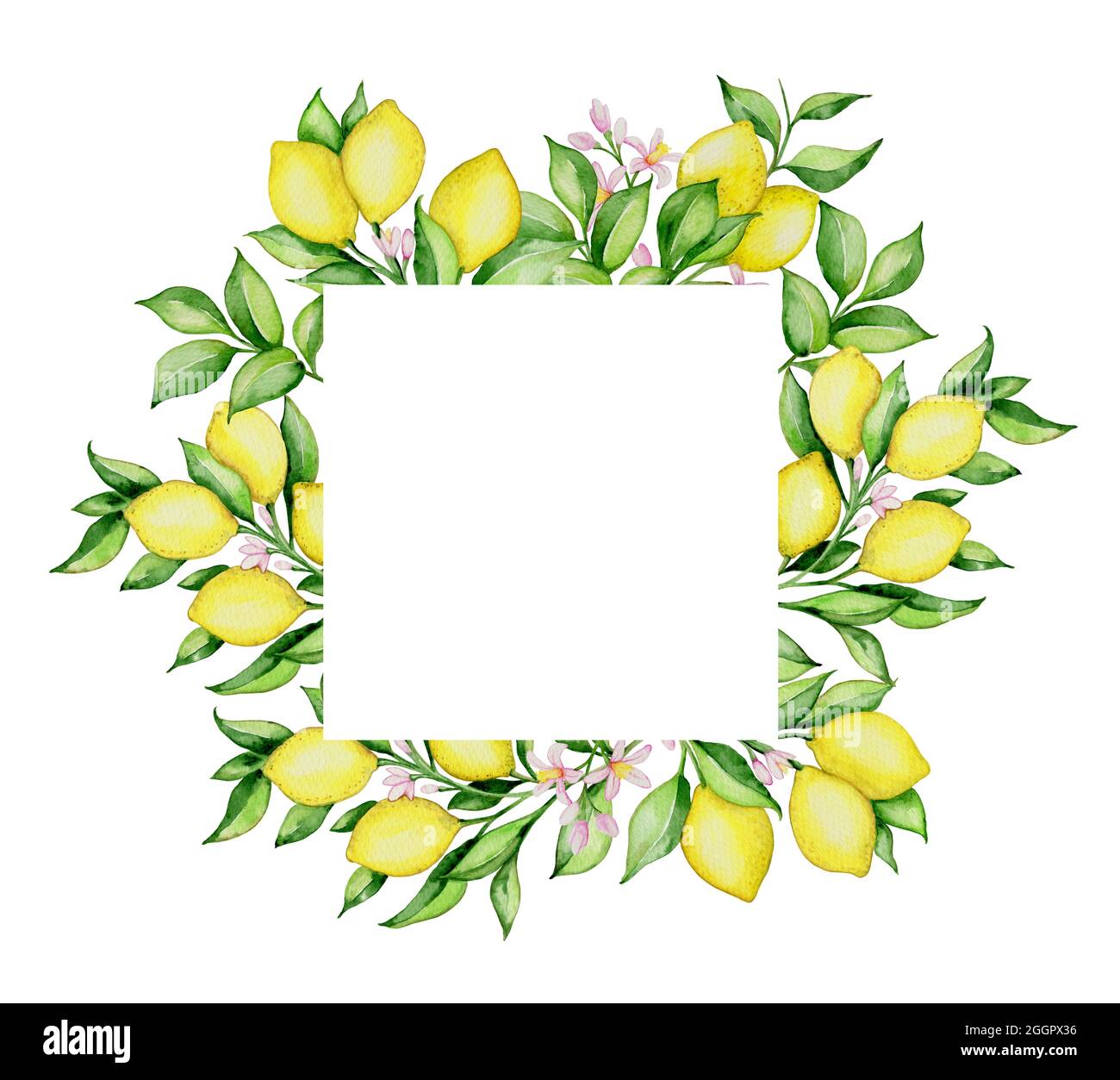 Hand drawn watercolor floral frame with lemons and green leaves on a ...