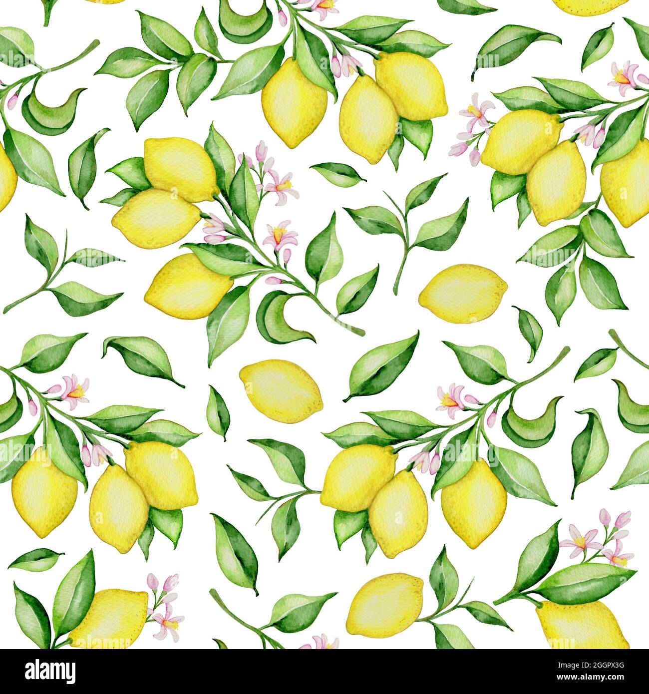 Hand drawn watercolor floral seamless pattern with lemons and green ...