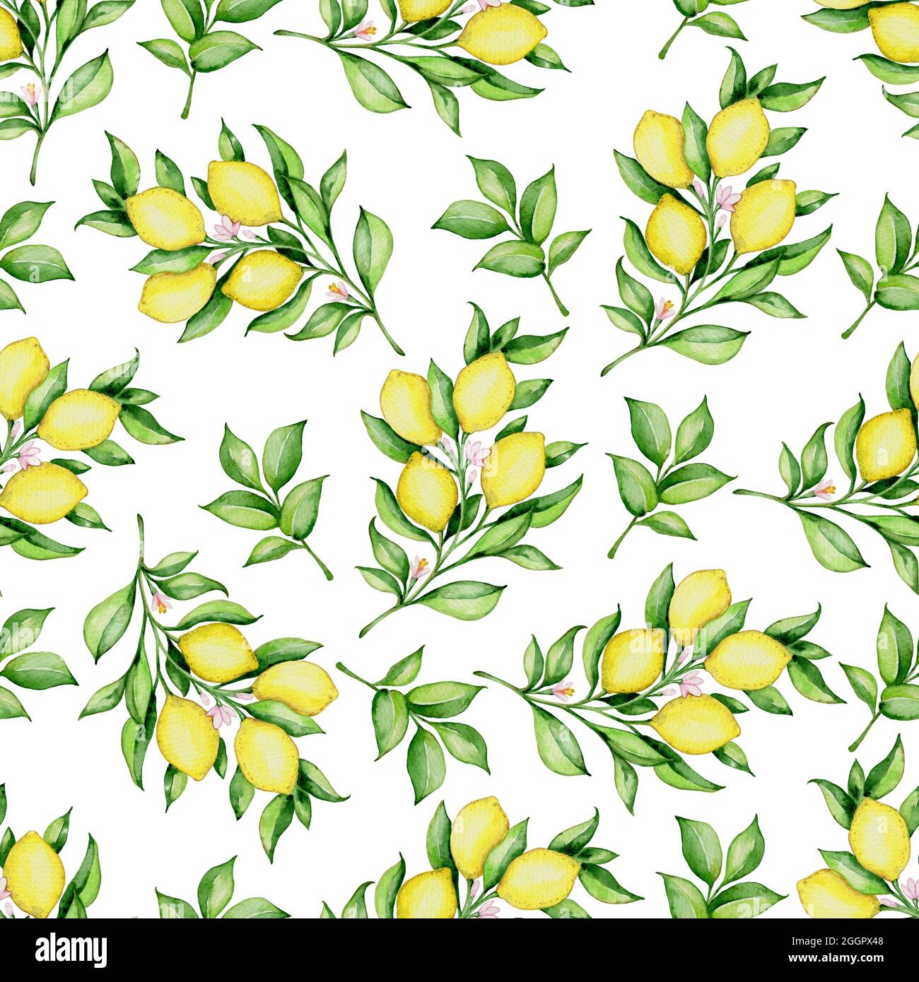 Hand drawn watercolor floral seamless pattern with lemons and green ...