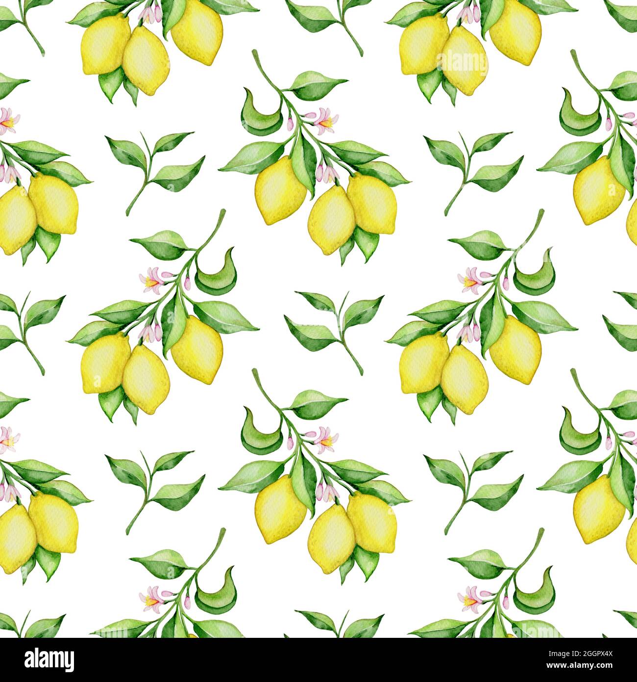 Hand drawn watercolor seamless pattern with lemons and green leaves on ...