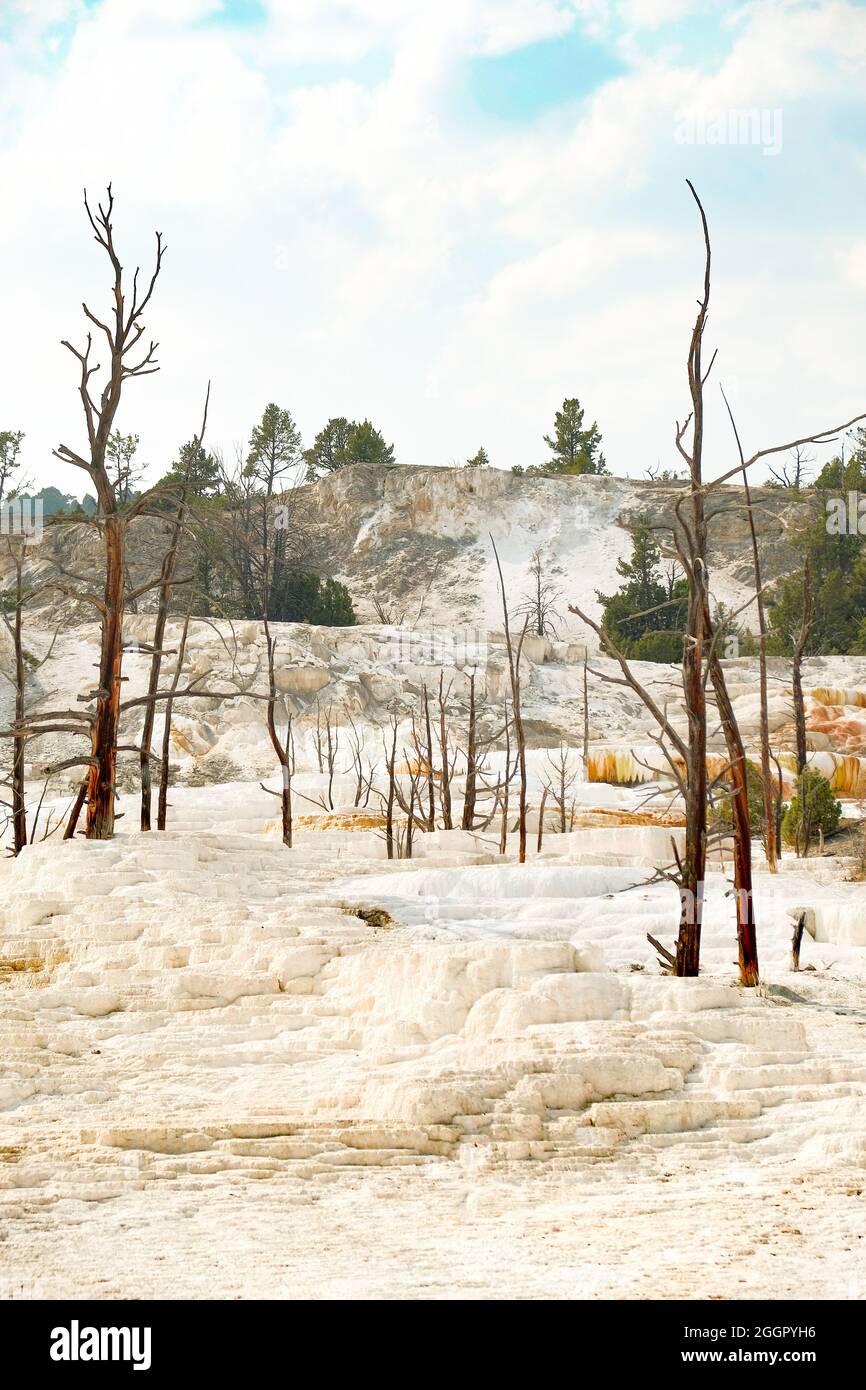 Vertical shot of the details of Mammoth Hot Springs in Yellowstone ...