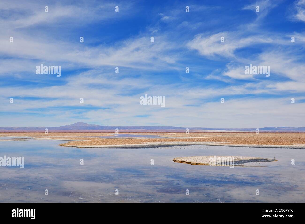 The Atacama desert salt flat (Salar de Atacama) landscape reflection, Chile. Stock Photo