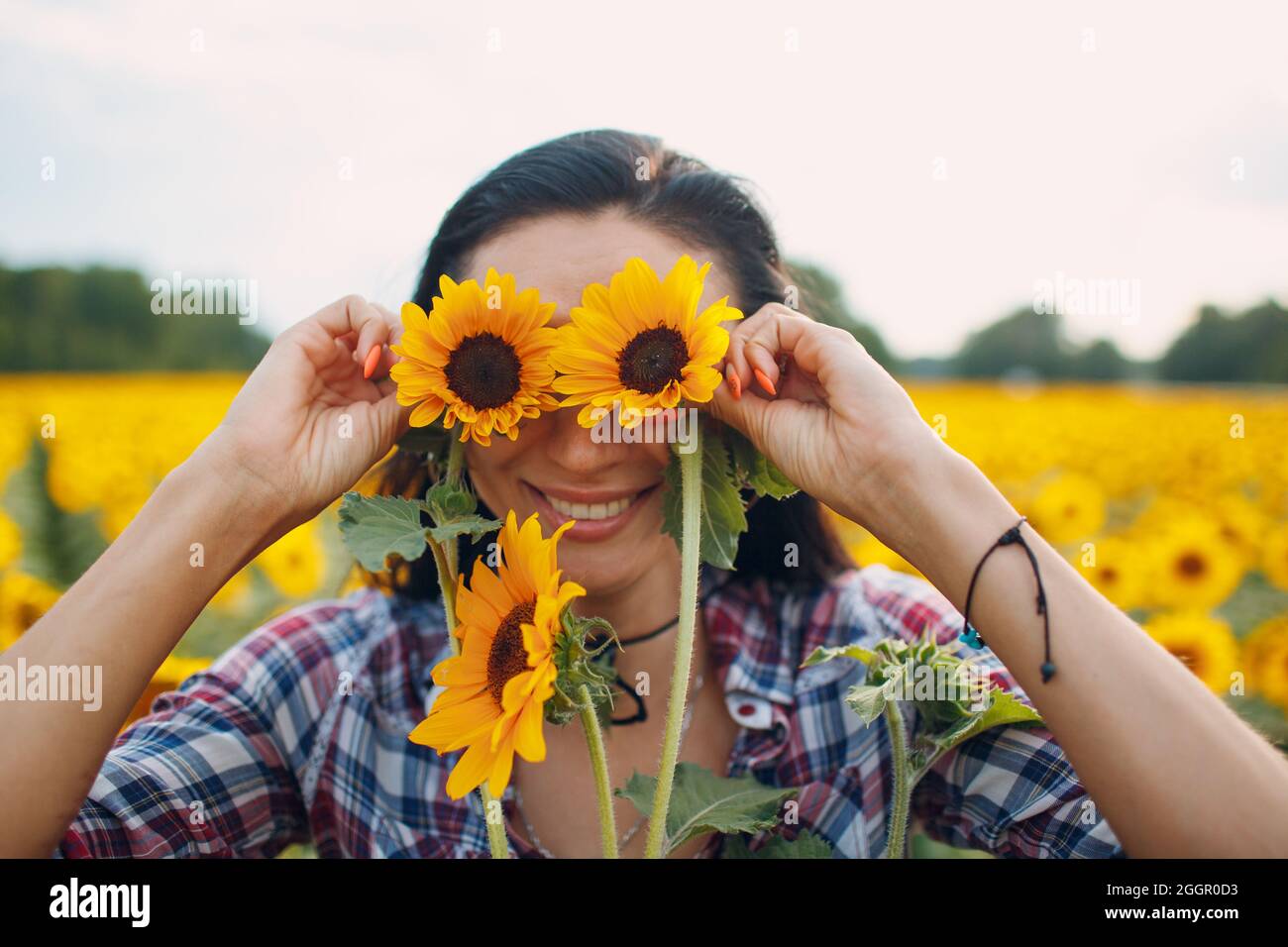 Portrait of a young woman in a shirt in the sunflower field hold eyes ...