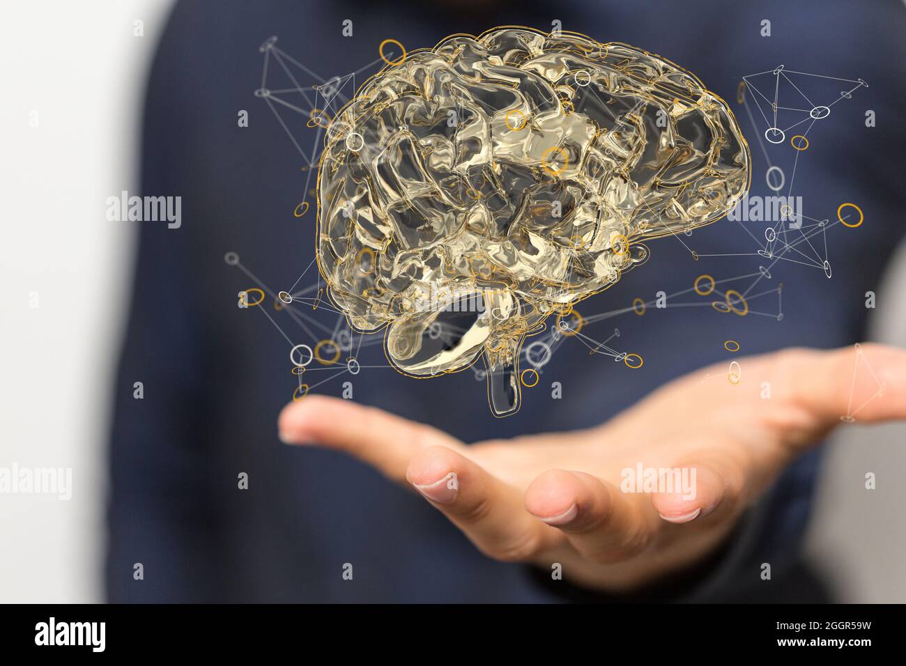 3d rendered medically accurate illustration brain Stock Photo - Alamy