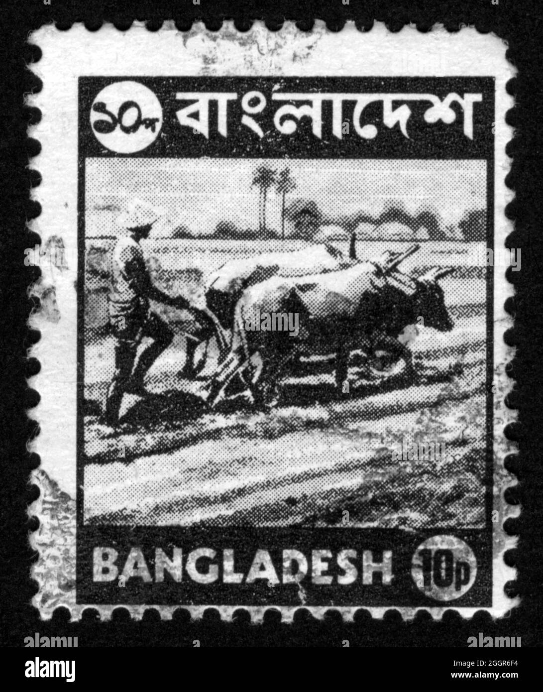 Stamp print in Bangladesh Stock Photo Alamy