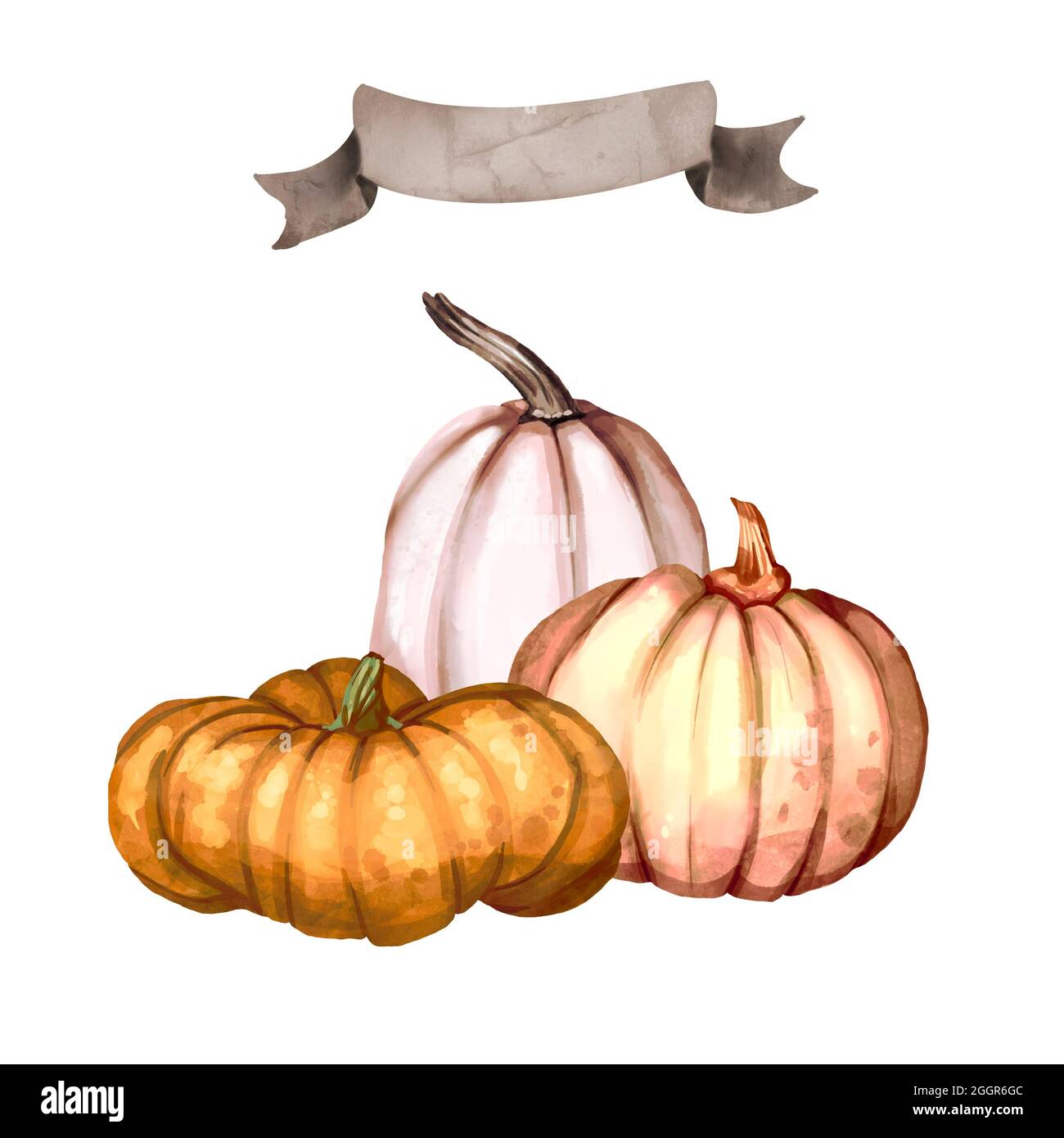 Watercolor pumpkin compositions. Orange and rose pumpkin. Isolated background illustration Stock Photo