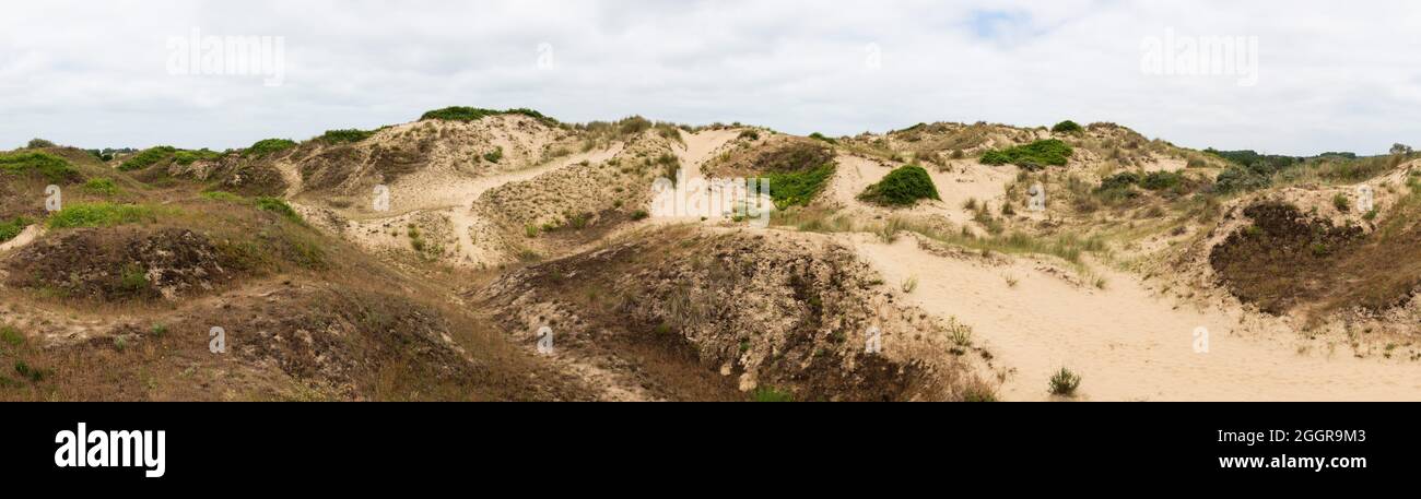 Extra large panoramic view of the Bray-Dunes national park Stock Photo