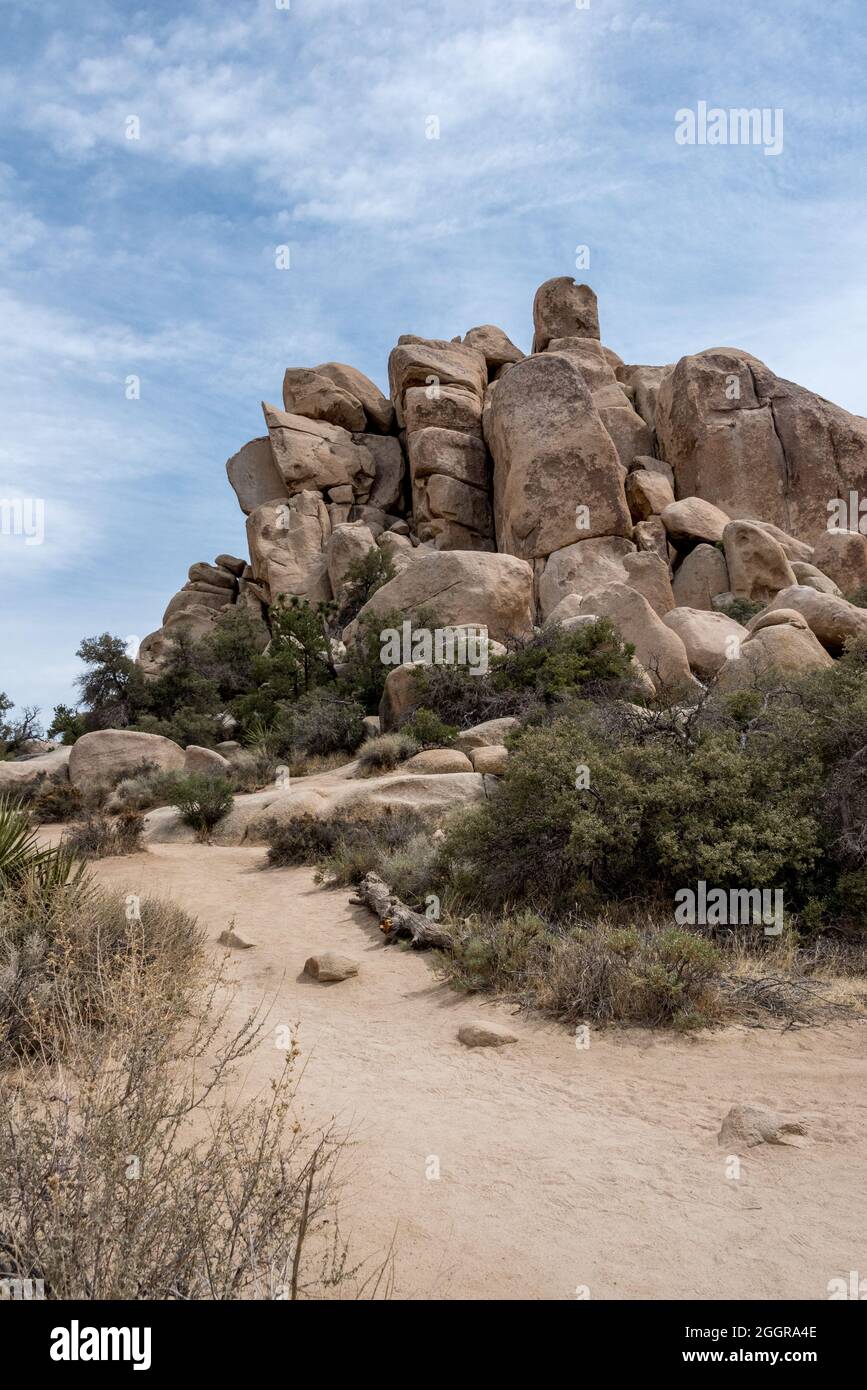 Hidden Valley is surrounded by tall rocky walls which protect the microclimate from drying desert winds. Stock Photo