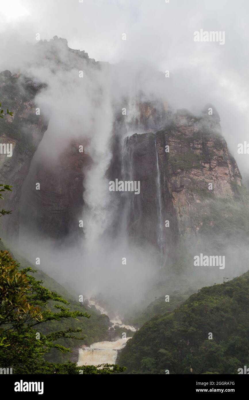 Angel Falls (Salto Angel), the highest waterfall in the world (978 m ...