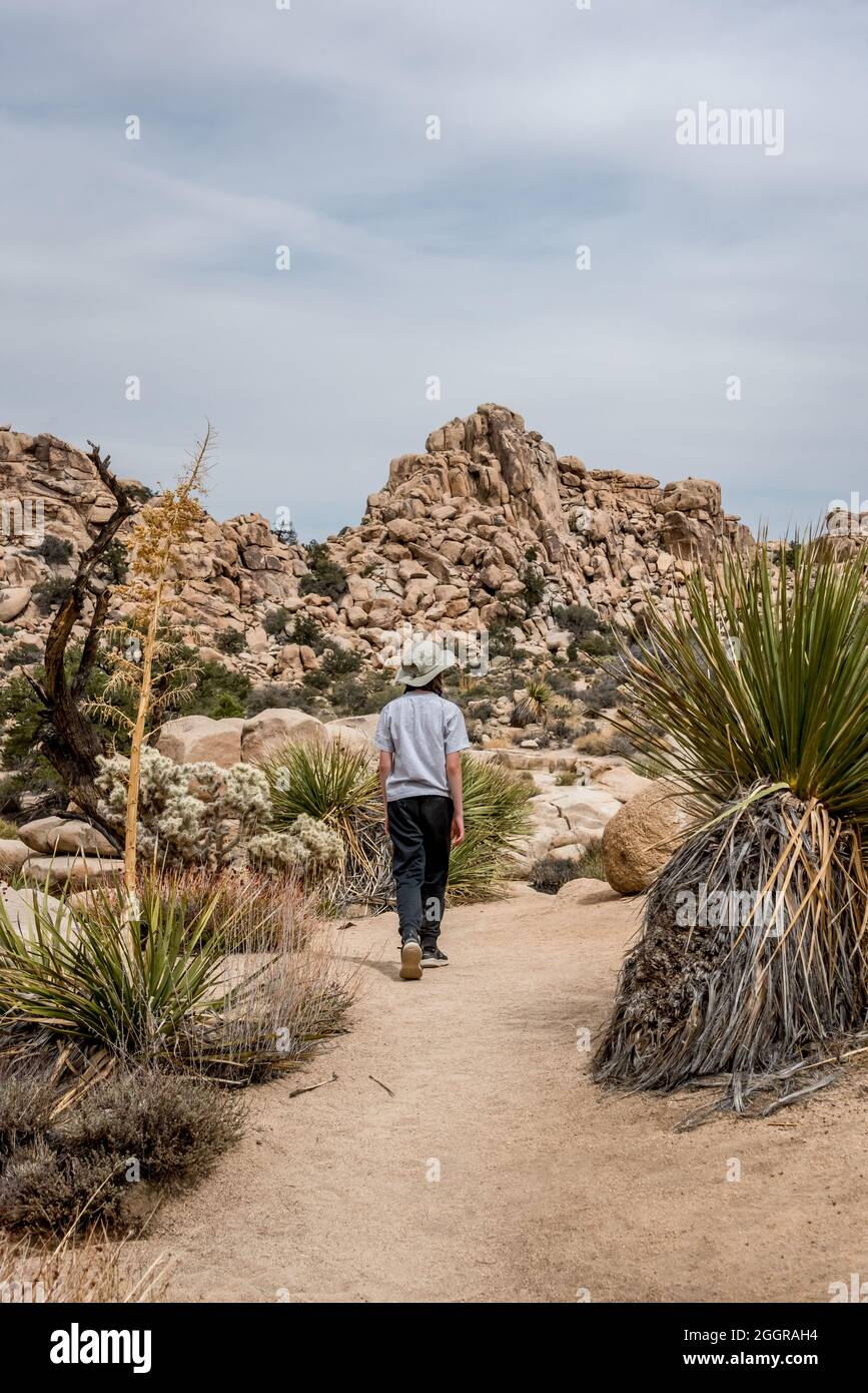 A kid hikes past a flowering yucca along the Hidden Valley Nature Trail in Joshua Tree National Park Stock Photo