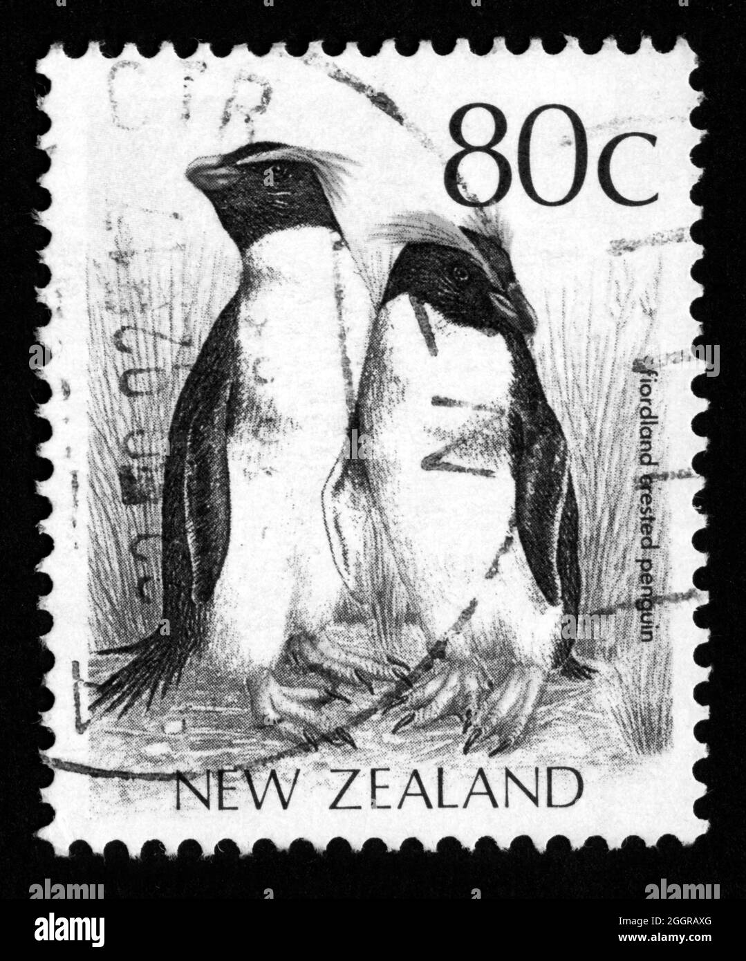 Stamp print in New Zealand, animals,penguins Stock Photo Alamy