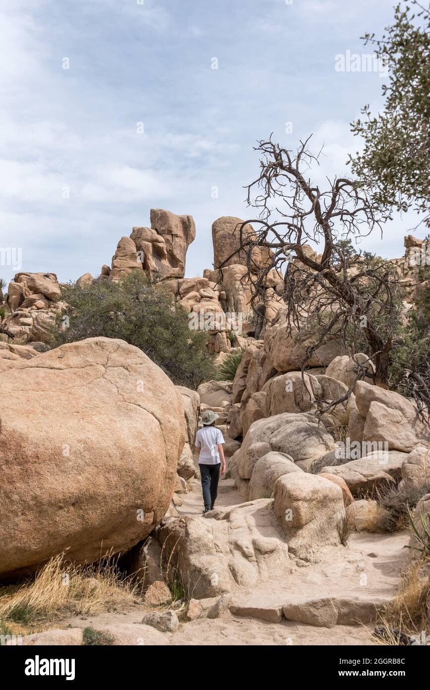 A child hikes among the boulders on the Hidden Valley Nature Trail in Joshua Tree National Park. Stock Photo