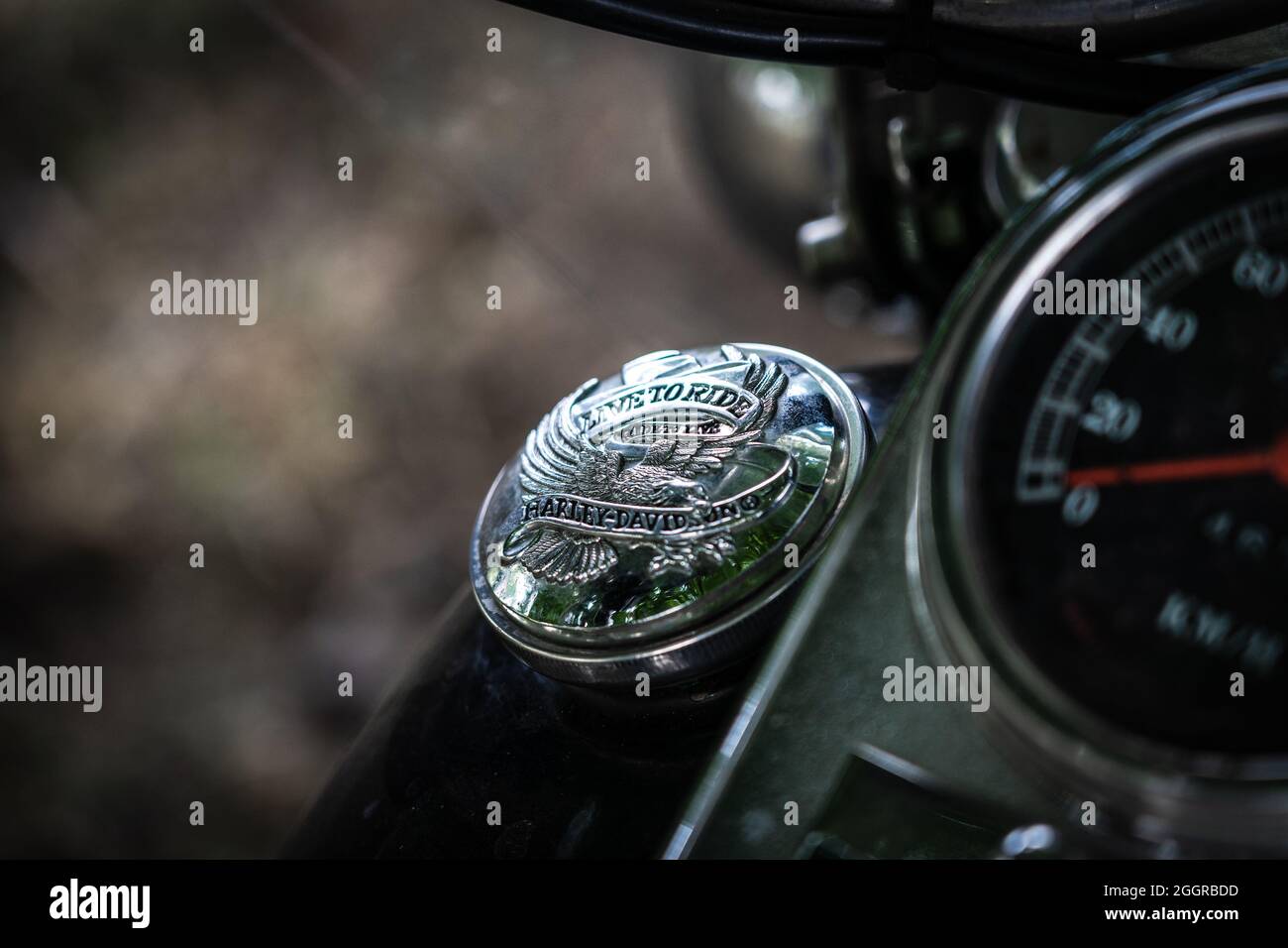 DIEDERSDORF, GERMANY - AUGUST 21, 2021: Detail of the fuel tank cap of motorcycle Harley-Davidson. The exhibition of 'US Car Classics'. Stock Photo
