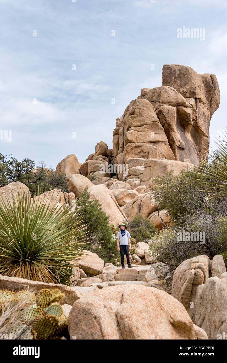 A young boy stands among the rocky terrain, pinyon pines, and other flora found in Hidden Valley in Joshua Tree National Park. Stock Photo